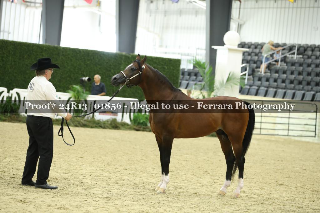 Proof 24R13_01856