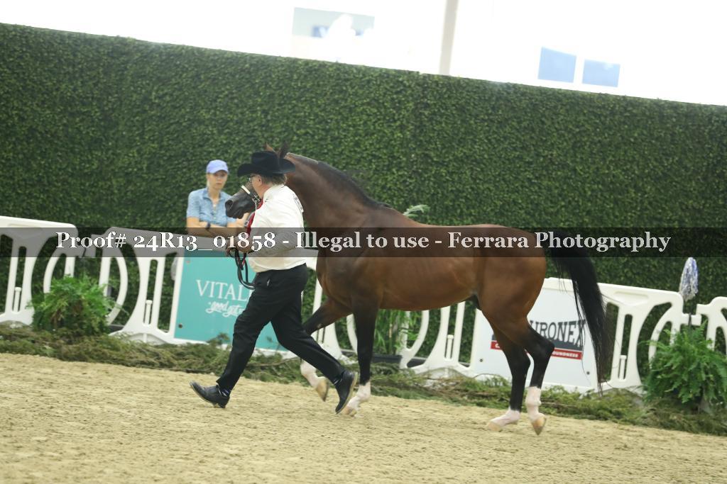Proof 24R13_01858