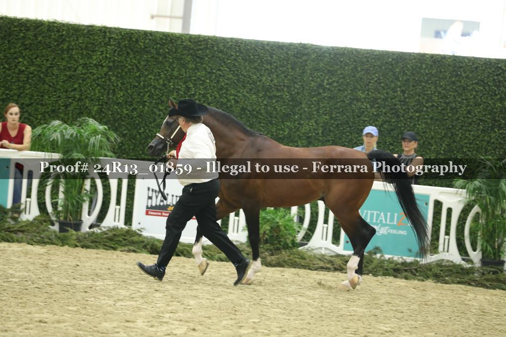 Proof 24R13_01859