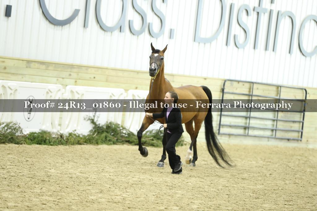 Proof 24R13_01860