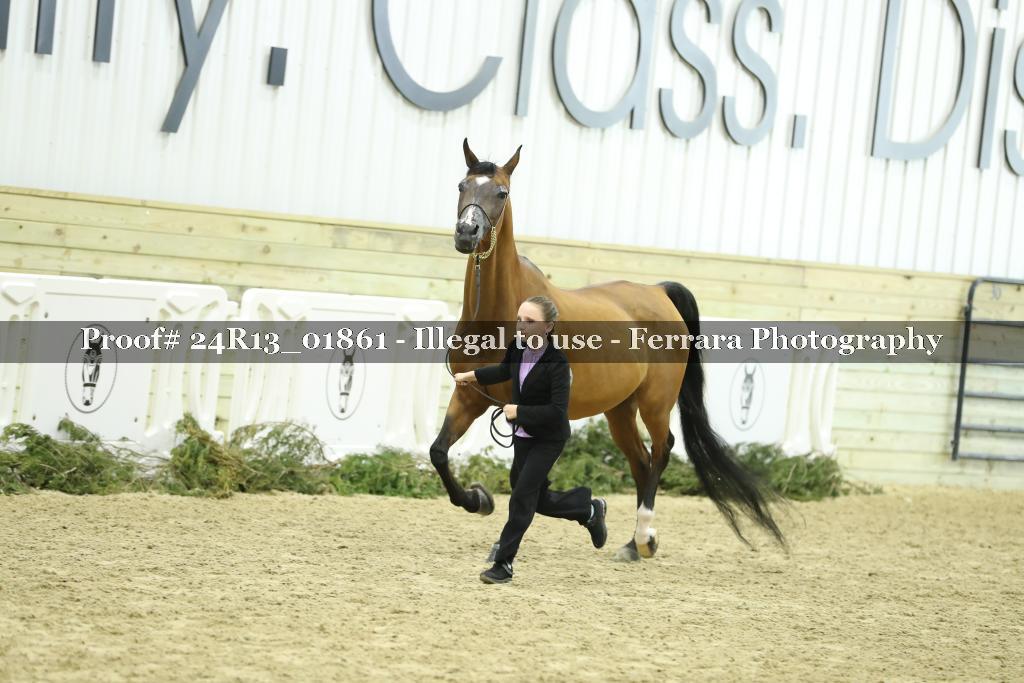Proof 24R13_01861