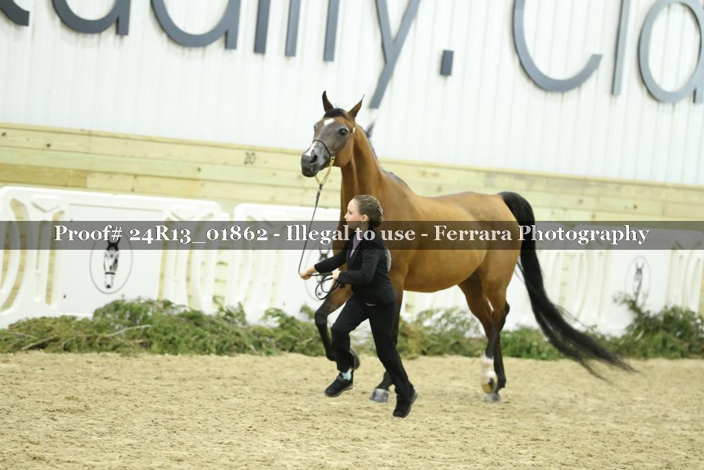 Proof 24R13_01862
