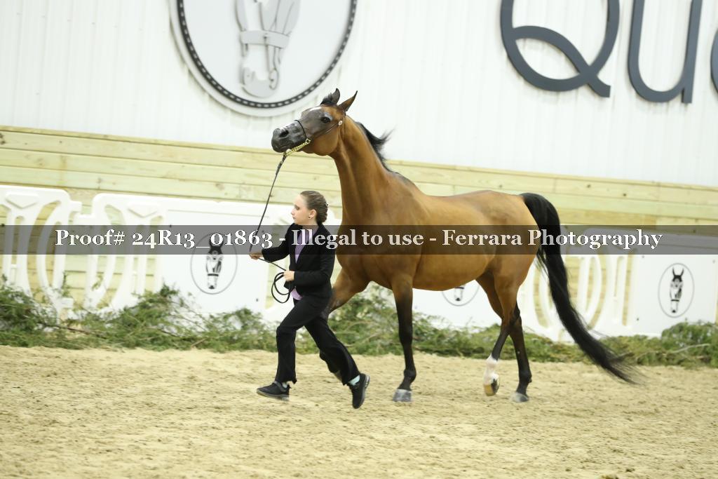 Proof 24R13_01863