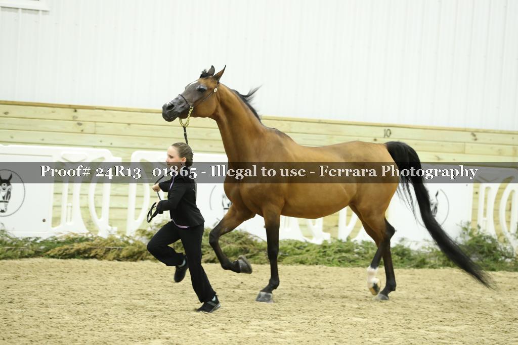 Proof 24R13_01865