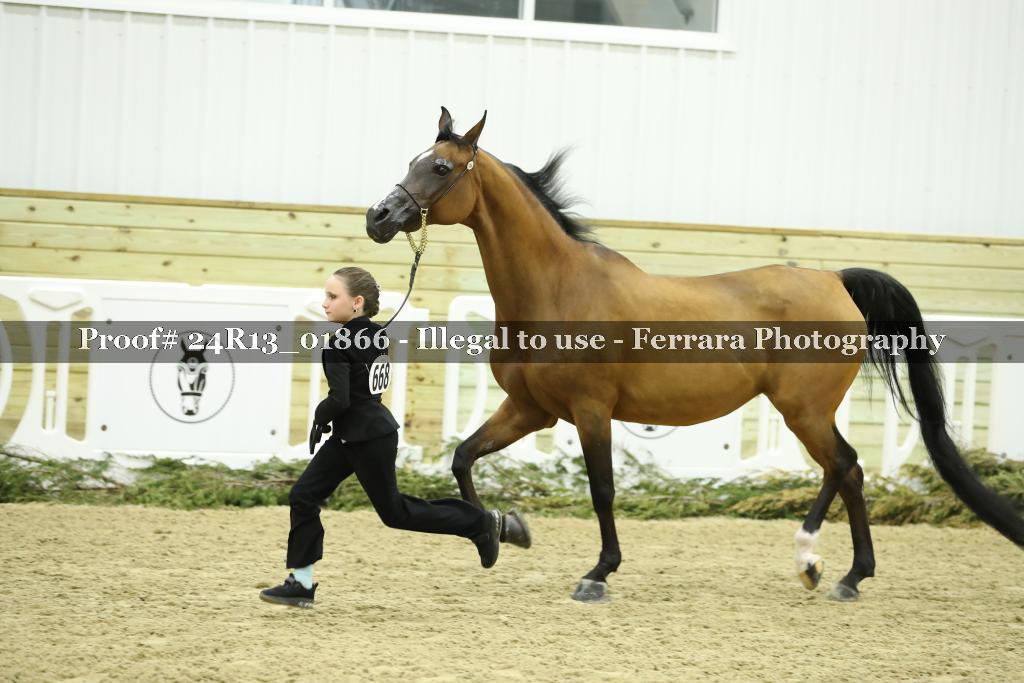 Proof 24R13_01866