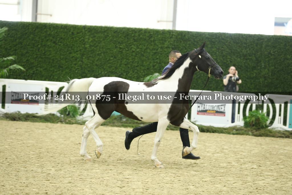 Proof 24R13_01875