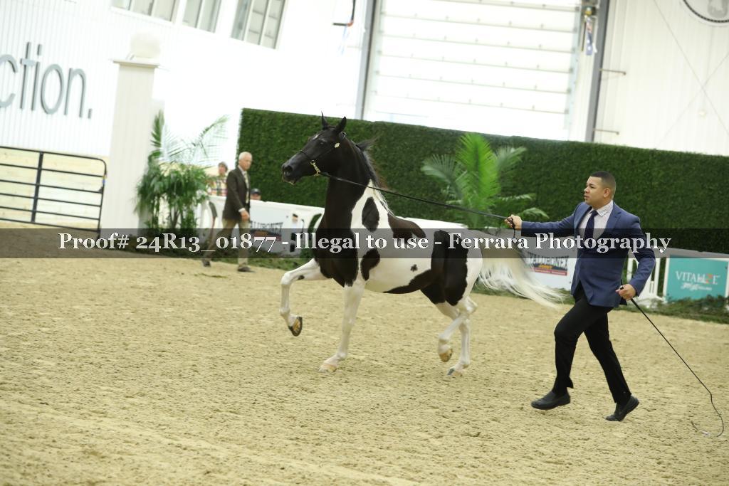 Proof 24R13_01877