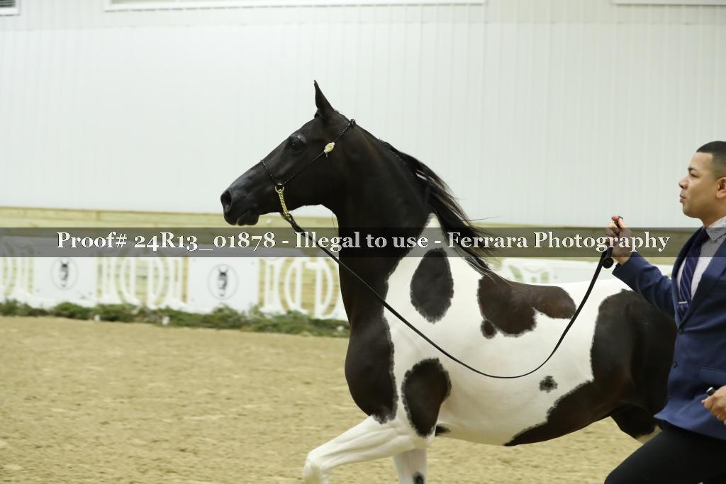 Proof 24R13_01878