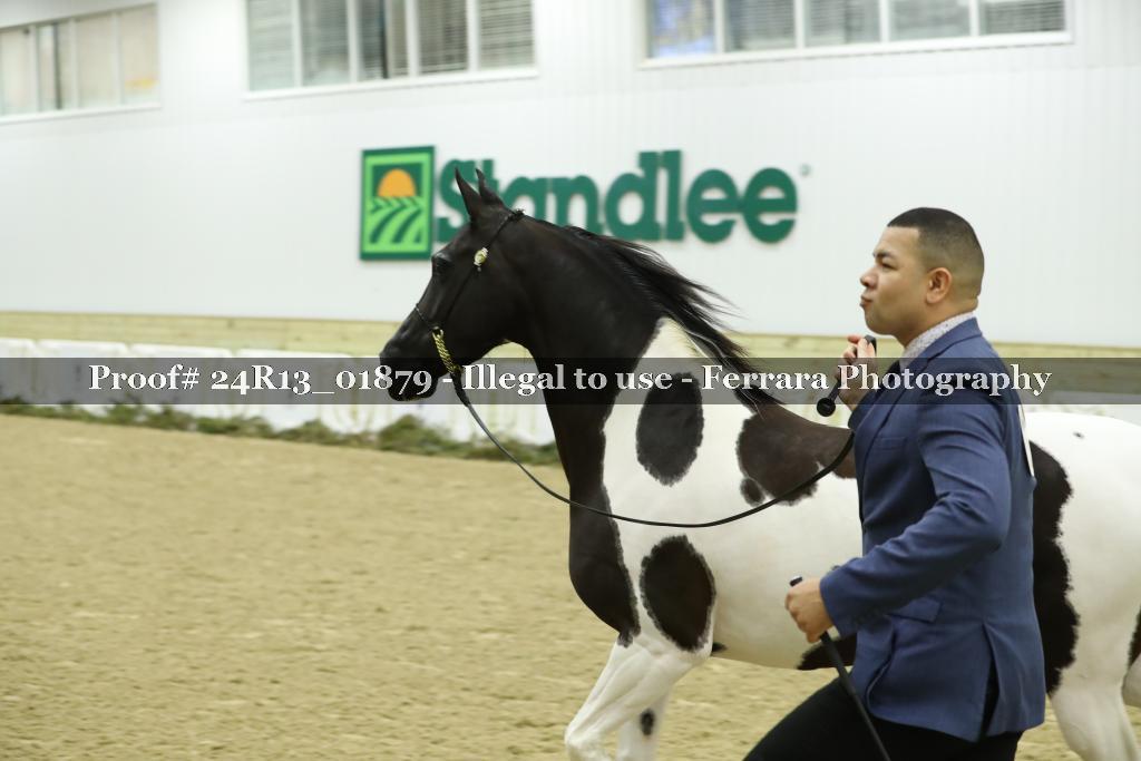 Proof 24R13_01879