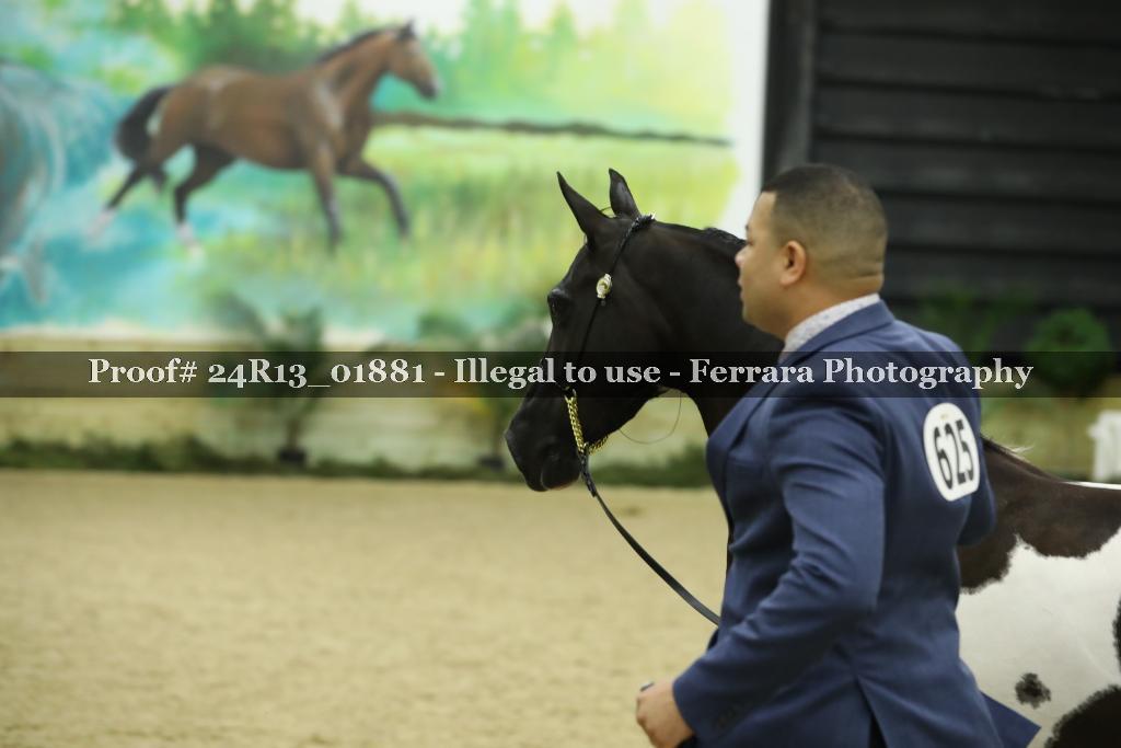 Proof 24R13_01881