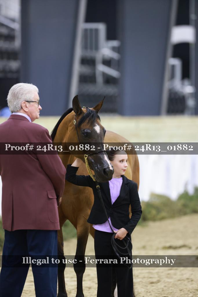 Proof 24R13_01882