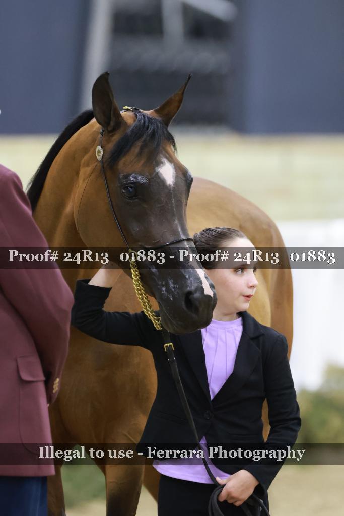 Proof 24R13_01883