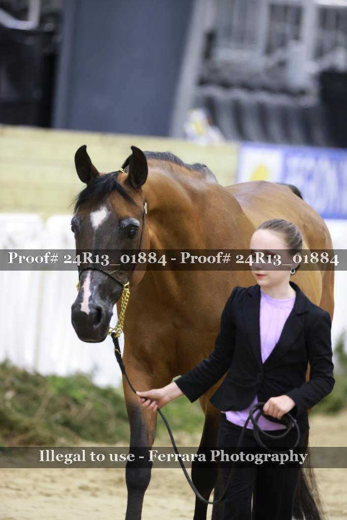 Proof 24R13_01884