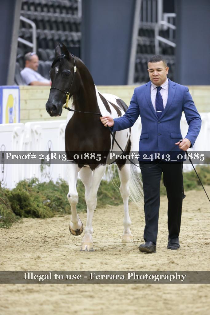 Proof 24R13_01885