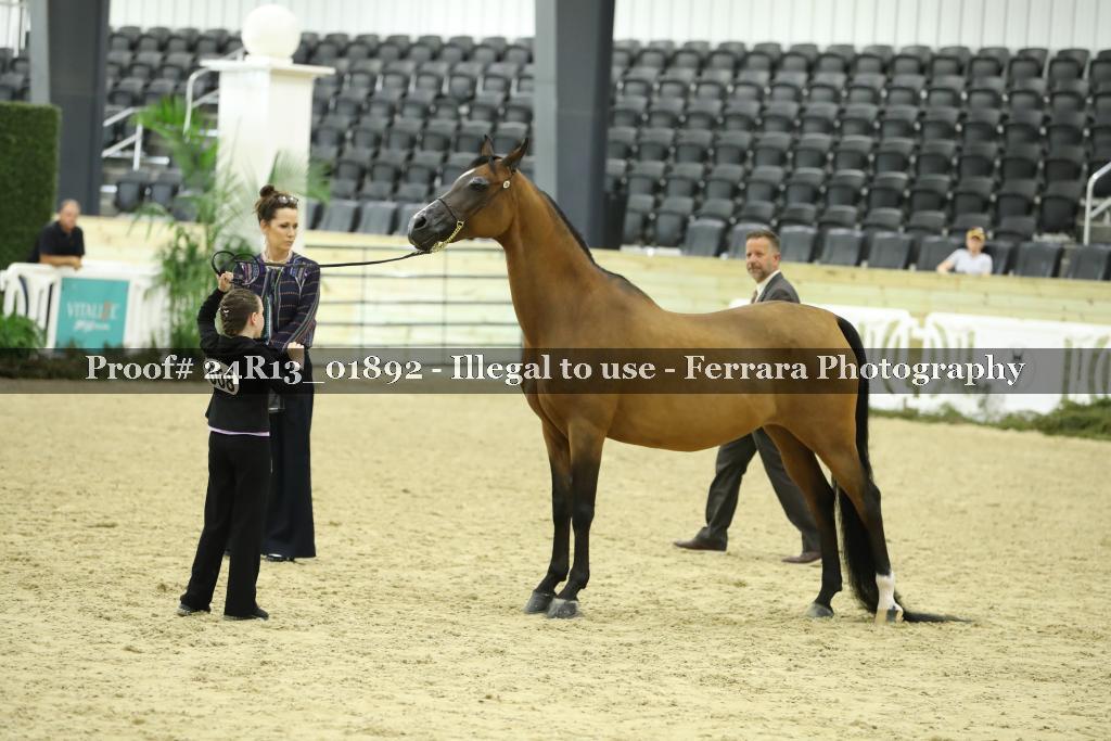 Proof 24R13_01892