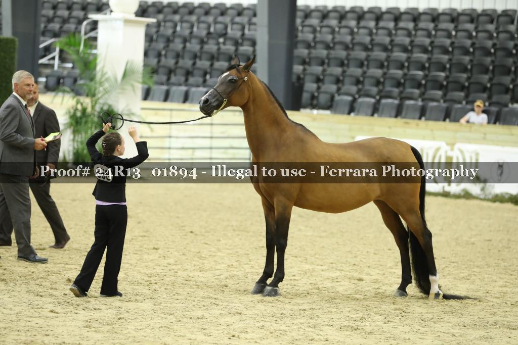 Proof 24R13_01894