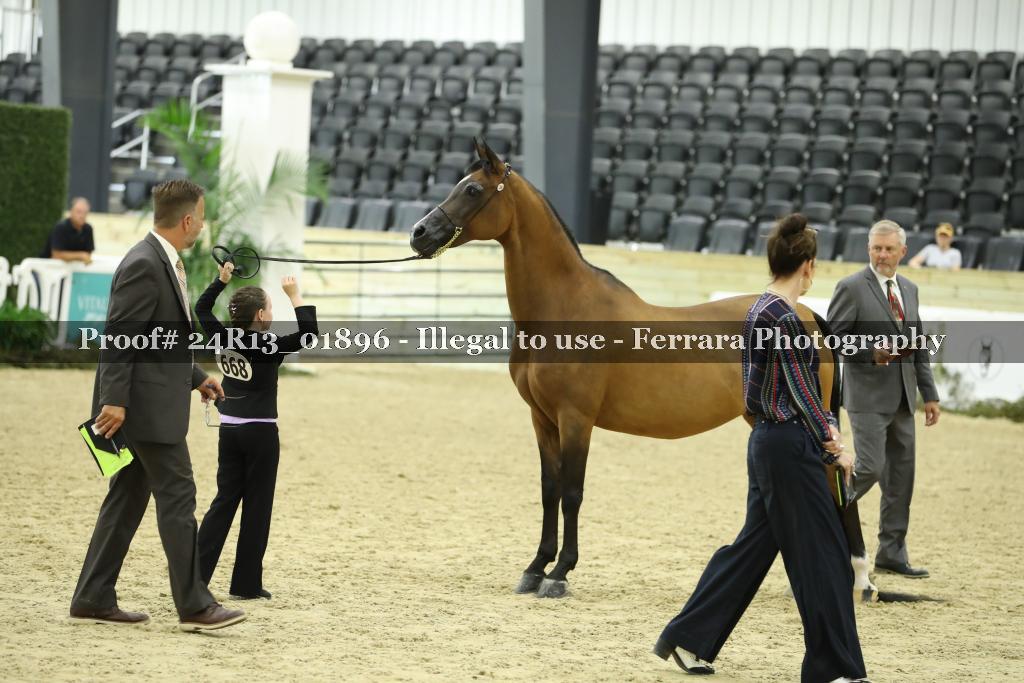 Proof 24R13_01896