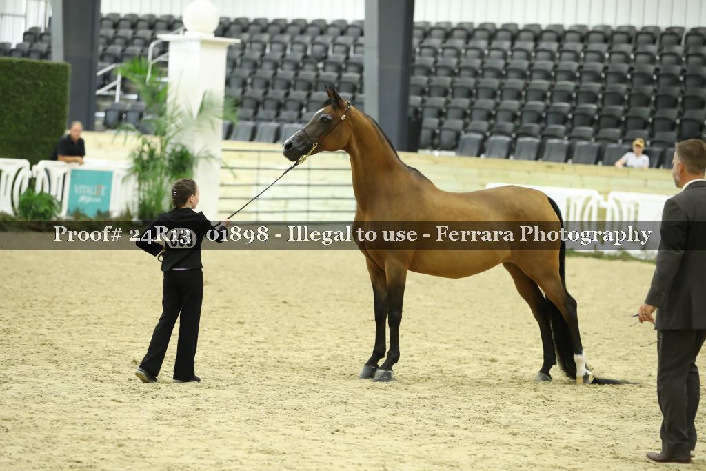 Proof 24R13_01898