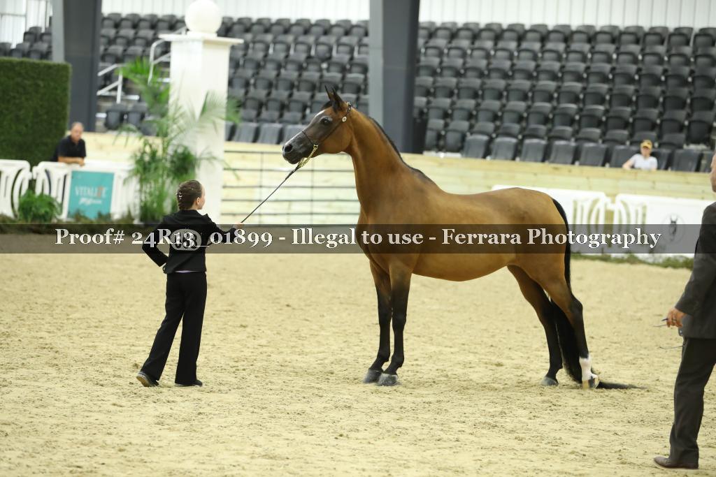 Proof 24R13_01899