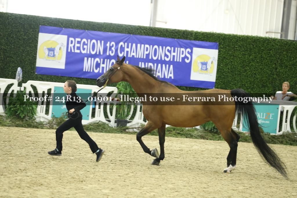 Proof 24R13_01901