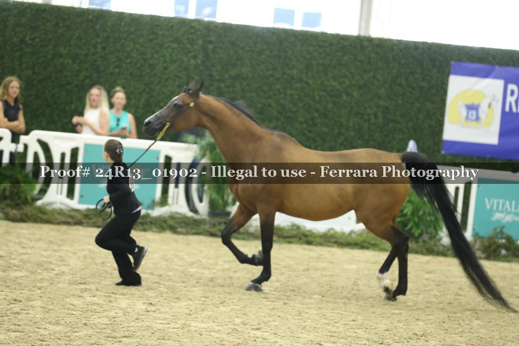 Proof 24R13_01902