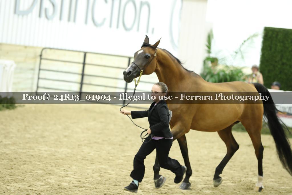 Proof 24R13_01904