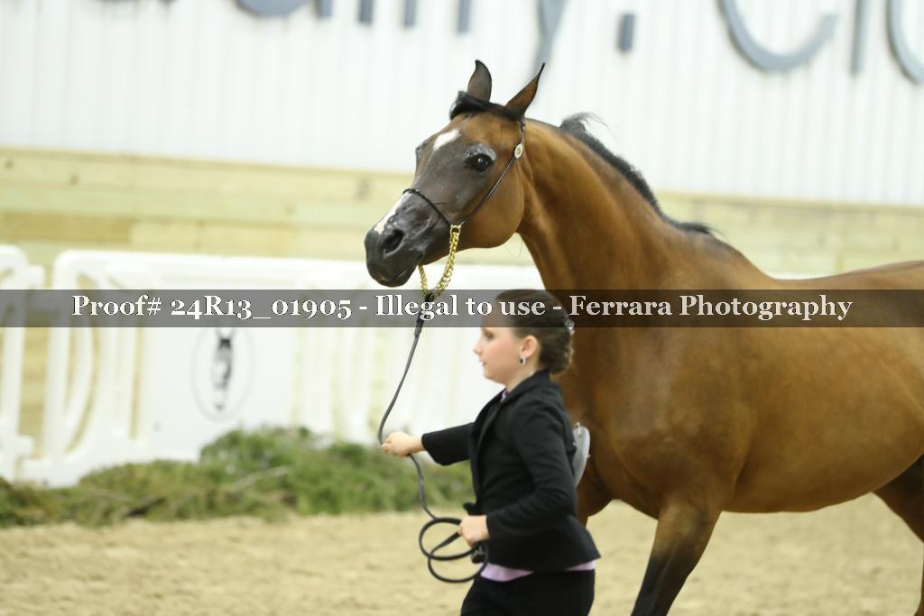 Proof 24R13_01905