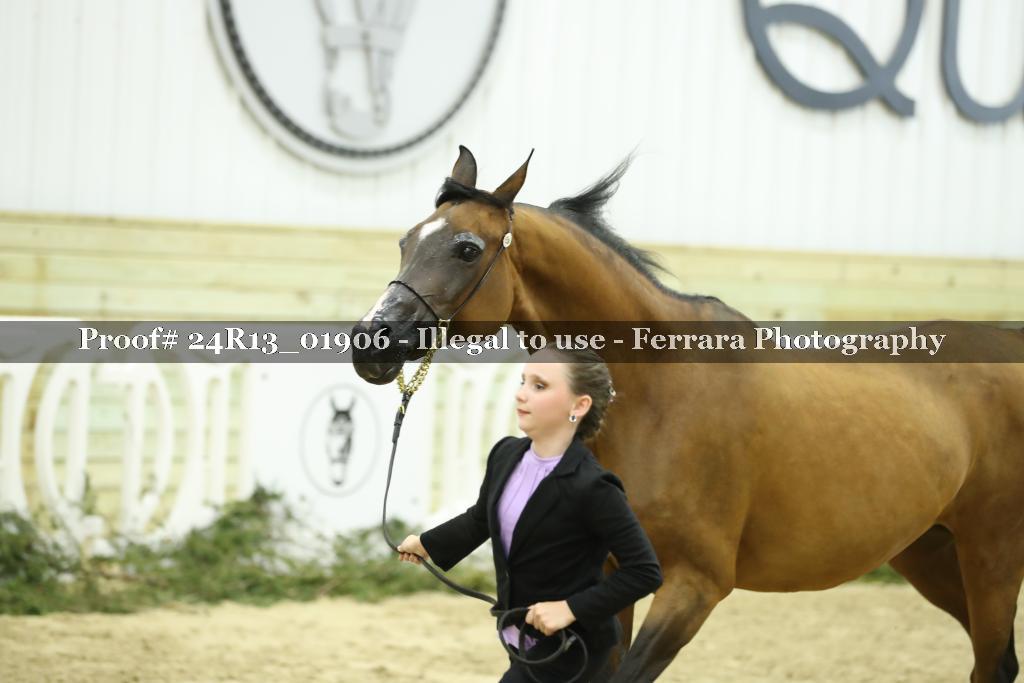 Proof 24R13_01906