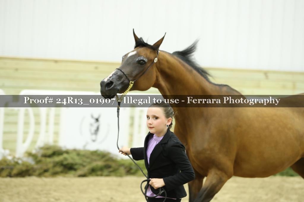 Proof 24R13_01907
