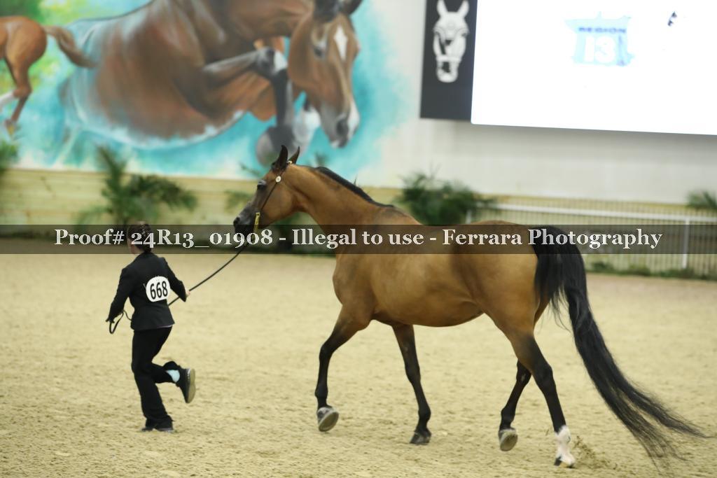 Proof 24R13_01908