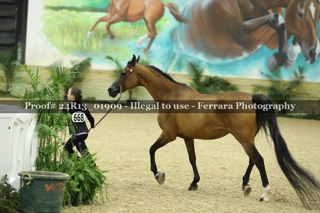 Proof 24R13_01909