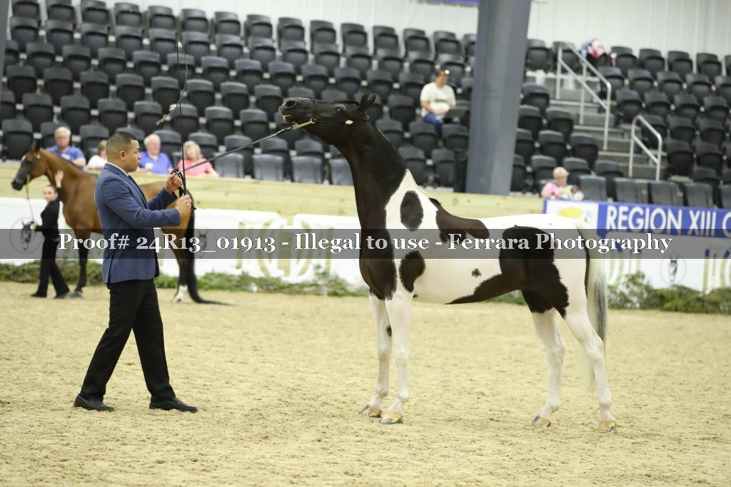Proof 24R13_01913