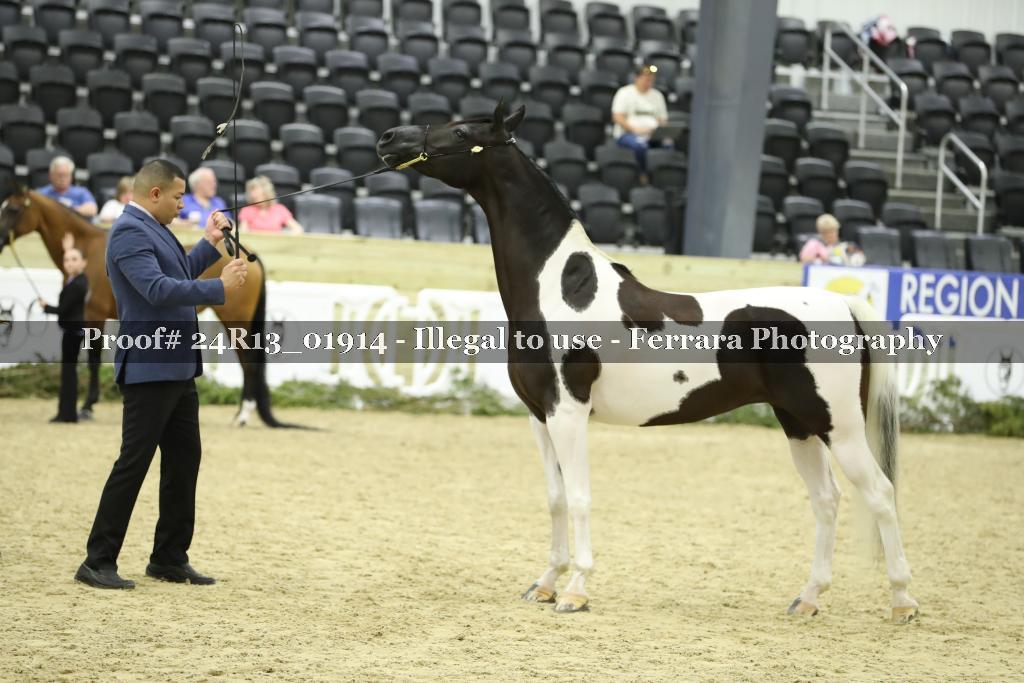 Proof 24R13_01914
