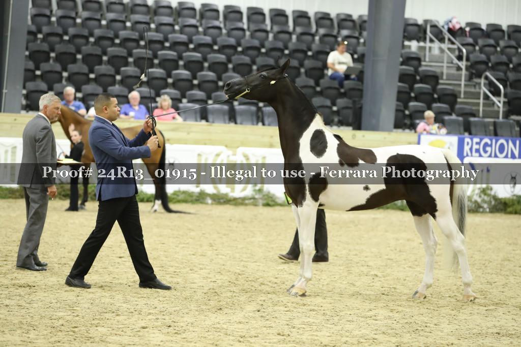 Proof 24R13_01915