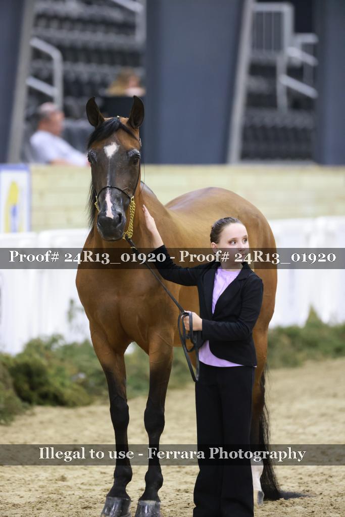 Proof 24R13_01920
