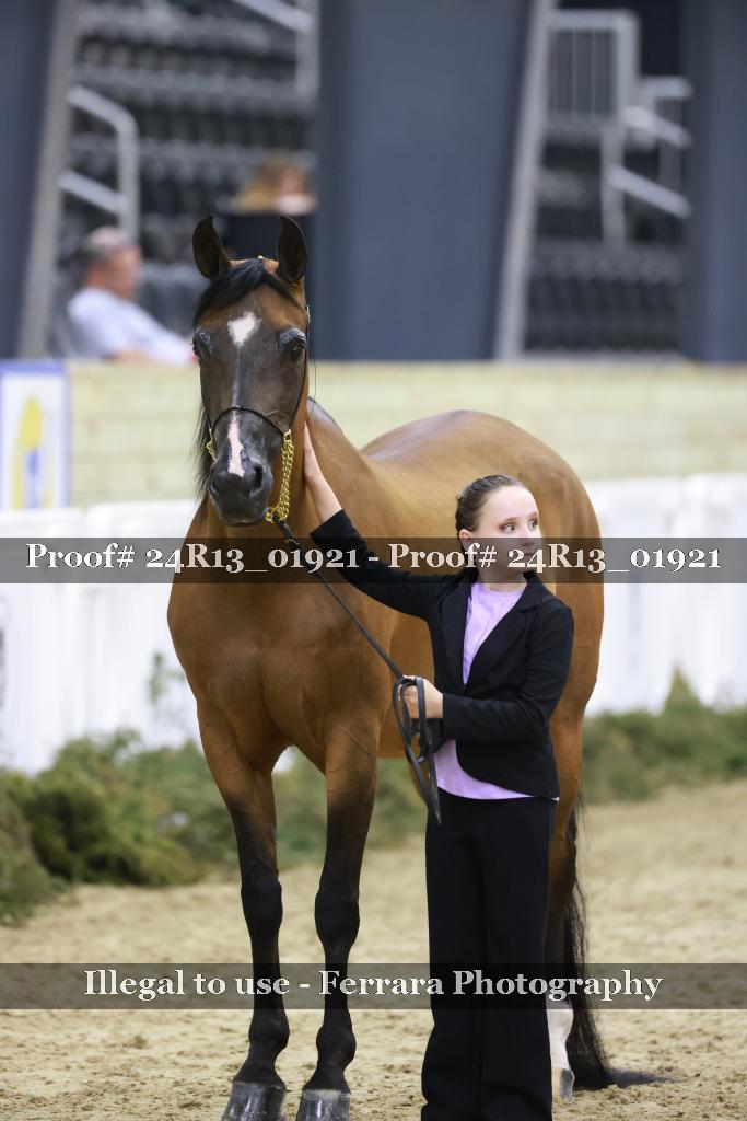 Proof 24R13_01921
