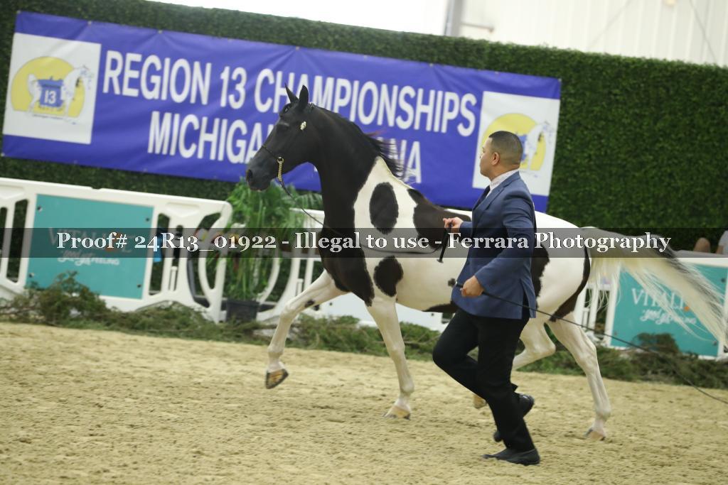 Proof 24R13_01922