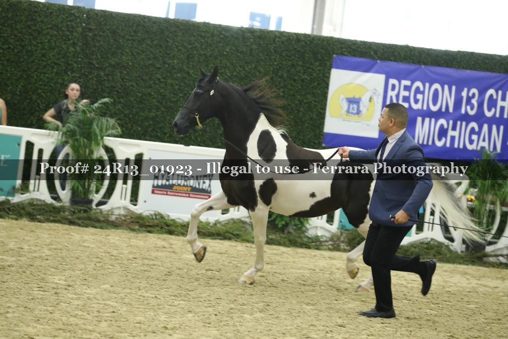 Proof 24R13_01923