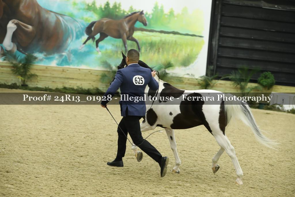 Proof 24R13_01928