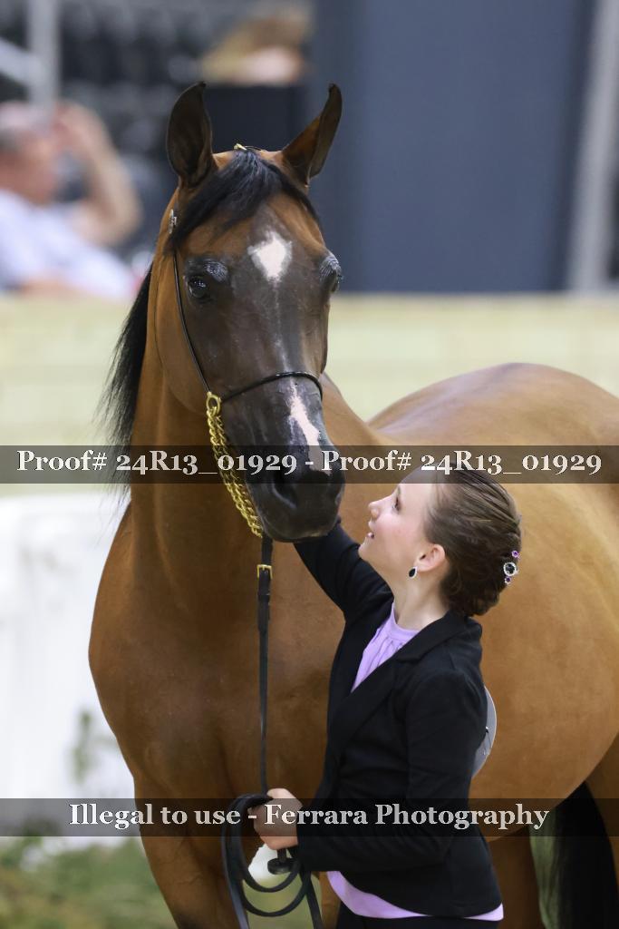 Proof 24R13_01929
