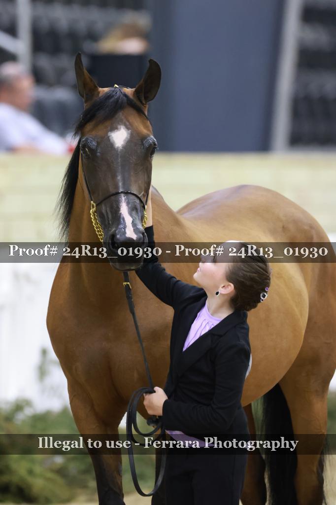 Proof 24R13_01930