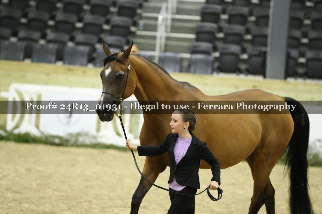 Proof 24R13_01931