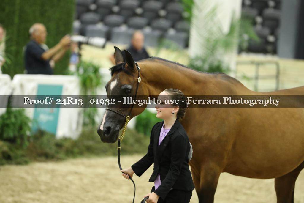 Proof 24R13_01932
