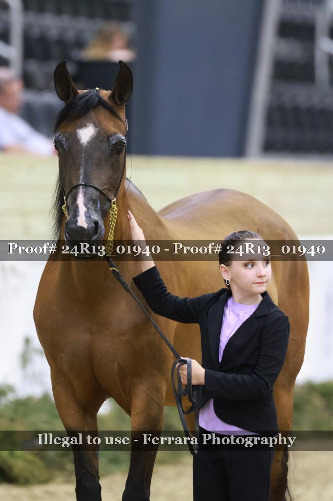 Proof 24R13_01940