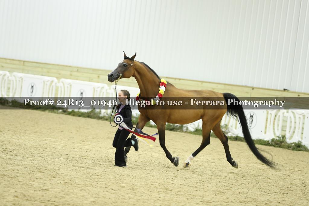 Proof 24R13_01946