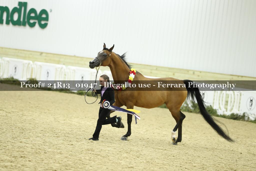 Proof 24R13_01947