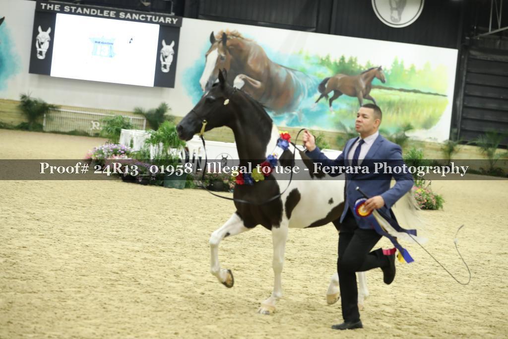 Proof 24R13_01958