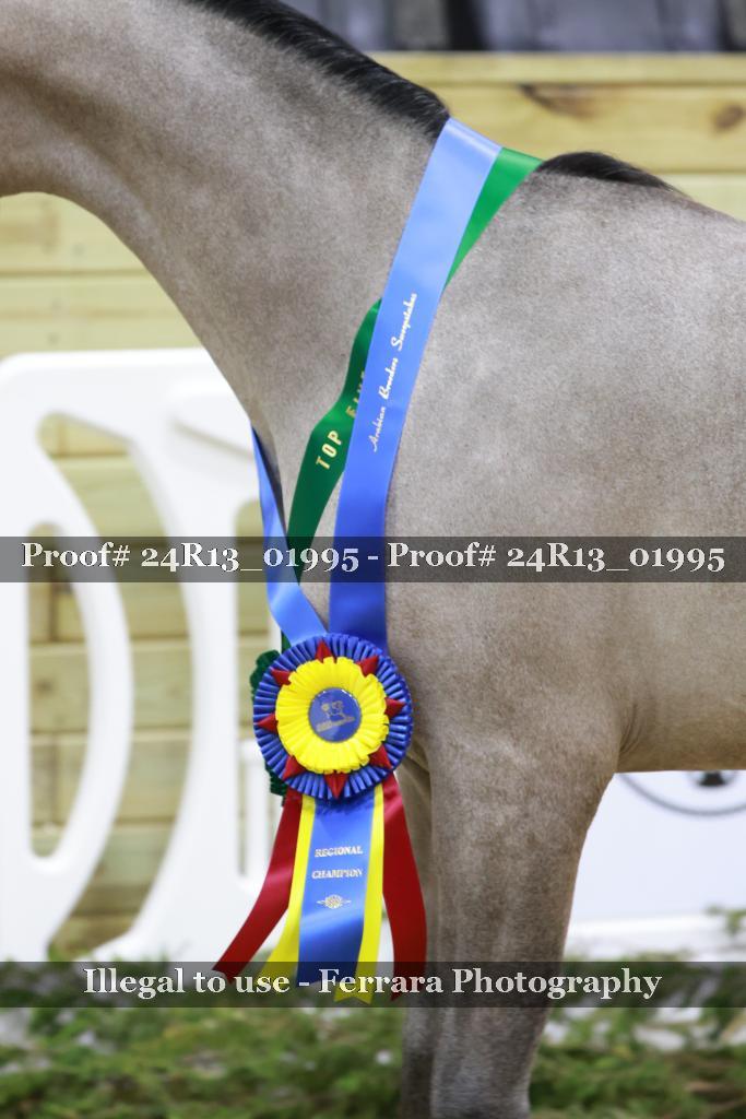 Proof 24R13_01995
