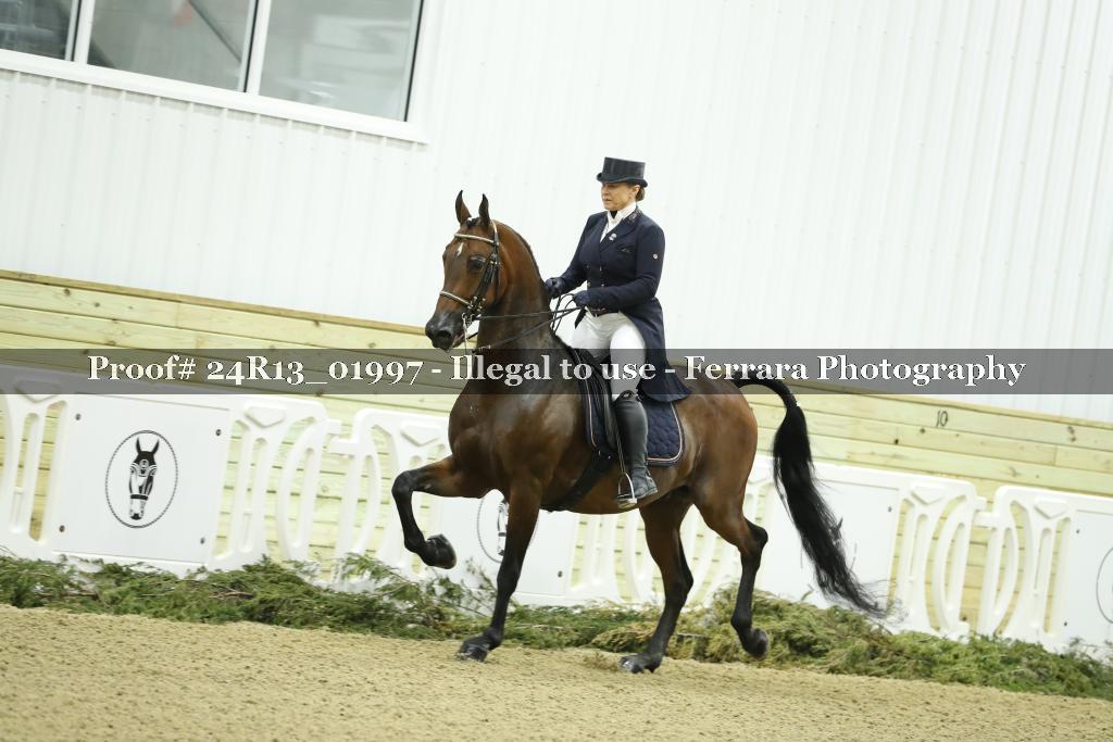 Proof 24R13_01997