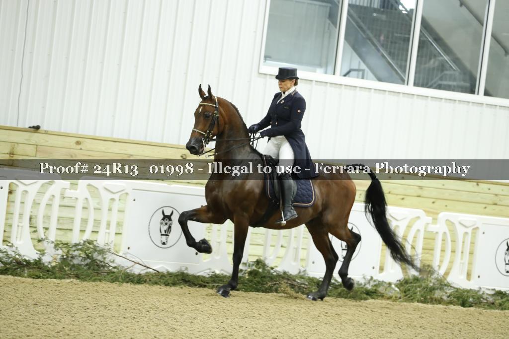 Proof 24R13_01998